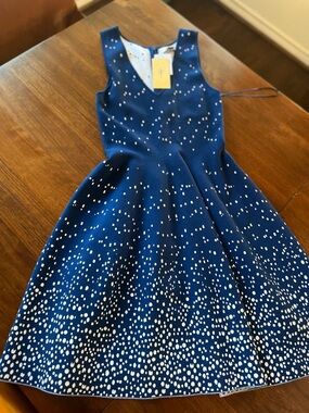 ISDA and Co Sleeveless Navy Polka-Dot Fit & Flare Dress